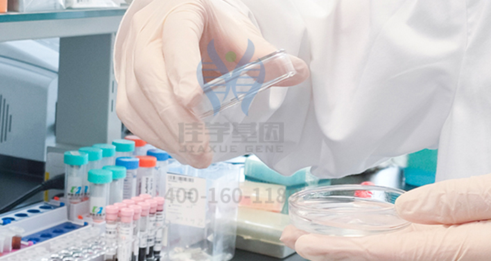 <b>【佳學(xué)基因檢測】神經(jīng)外科學(xué)中如何充實(shí)CELSR2遺傳測試內(nèi)容</b>